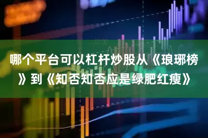 哪个平台可以杠杆炒股从《琅琊榜》到《知否知否应是绿肥红瘦》