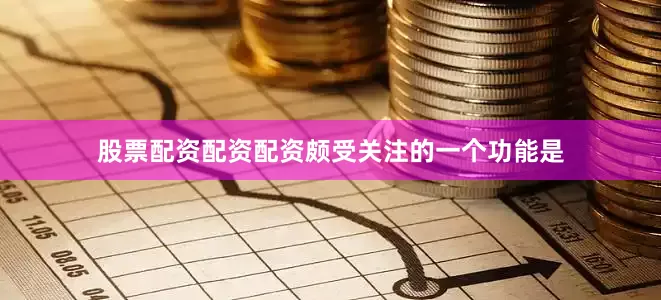 股票配资配资配资颇受关注的一个功能是