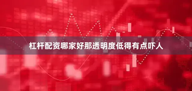 杠杆配资哪家好那透明度低得有点吓人