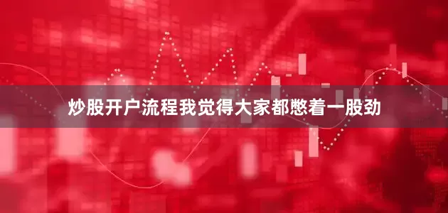 炒股开户流程我觉得大家都憋着一股劲