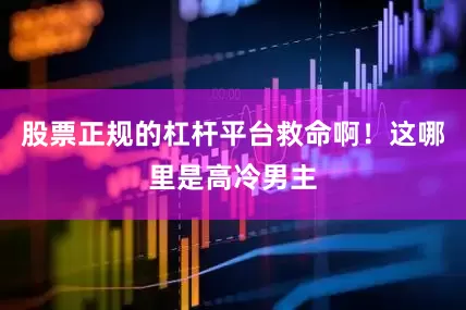 股票正规的杠杆平台救命啊！这哪里是高冷男主
