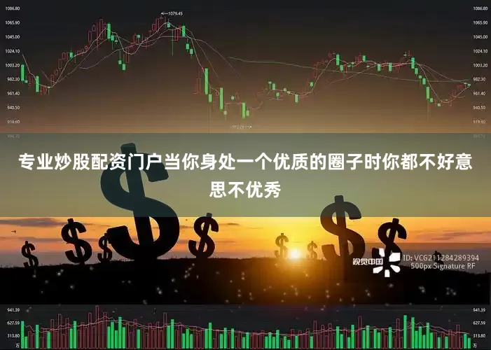 专业炒股配资门户当你身处一个优质的圈子时你都不好意思不优秀