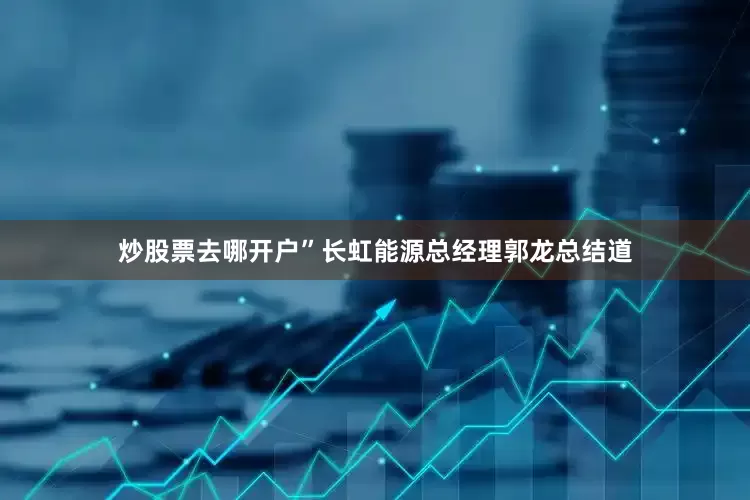 炒股票去哪开户”长虹能源总经理郭龙总结道